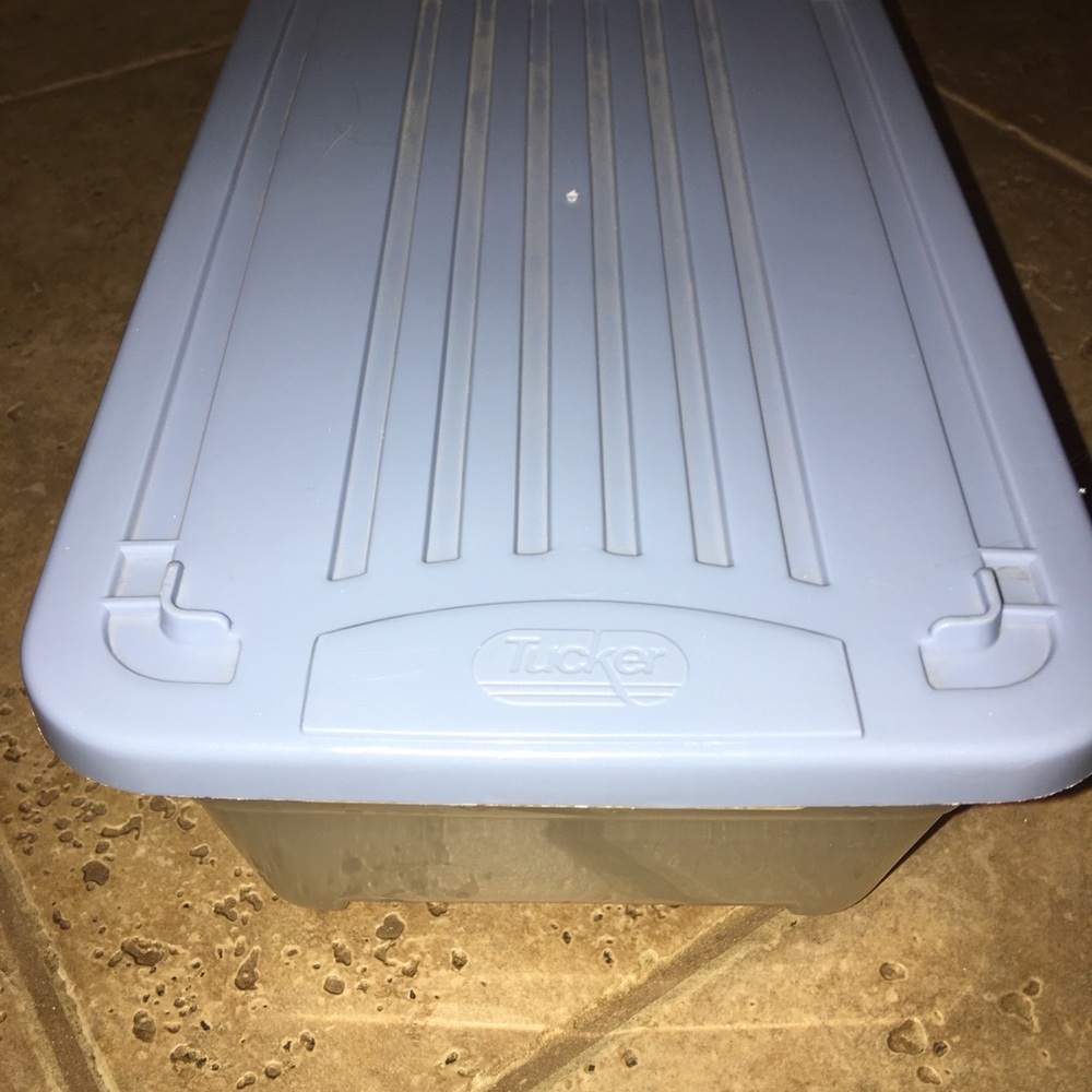 Tucker Shoebox Size Storage Container